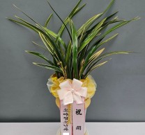 소아청소년과의원 개원 동양… 실제 배송사진